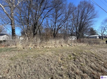 Brandenburg Road, Ekron, Kentucky 40117, ,For Sale,Brandenburg Road,HK24000674 Brandenburg Road, Ekron, Kentucky 40117, ,For Sale,Brandenburg Road,HK24000674