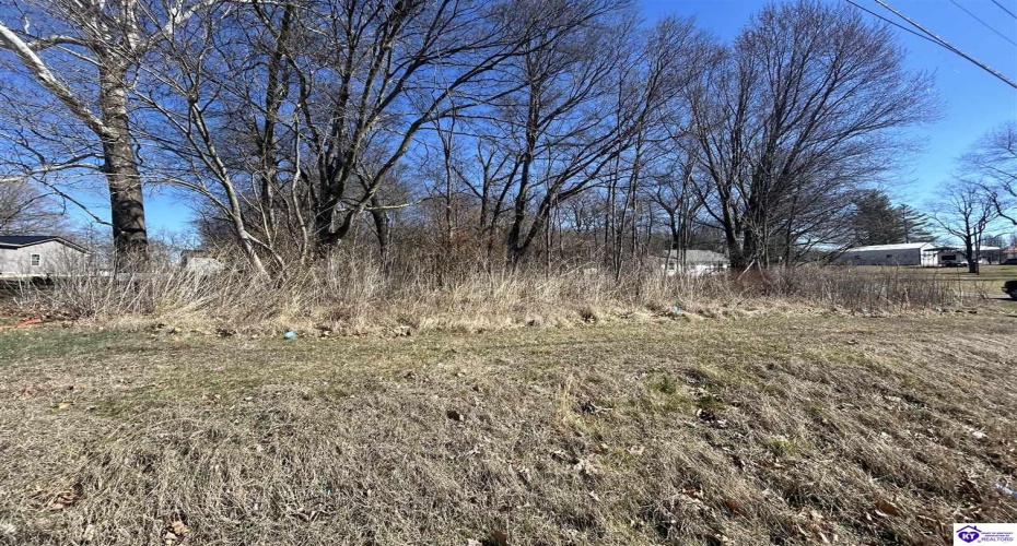 Brandenburg Road, Ekron, Kentucky 40117, ,For Sale,Brandenburg Road,HK24000674