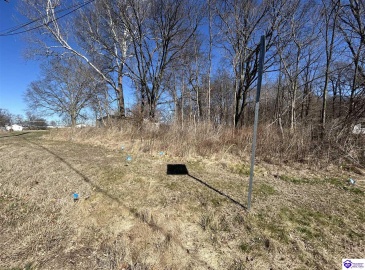 Brandenburg Road, Ekron, Kentucky 40117, ,For Sale,Brandenburg Road,HK24000674 Brandenburg Road, Ekron, Kentucky 40117, ,For Sale,Brandenburg Road,HK24000674