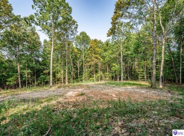 Leitchfield Road, Cecilia, Kentucky 42724, ,For Sale,Leitchfield Road,HK24003393 Leitchfield Road, Cecilia, Kentucky 42724, ,For Sale,Leitchfield Road,HK24003393