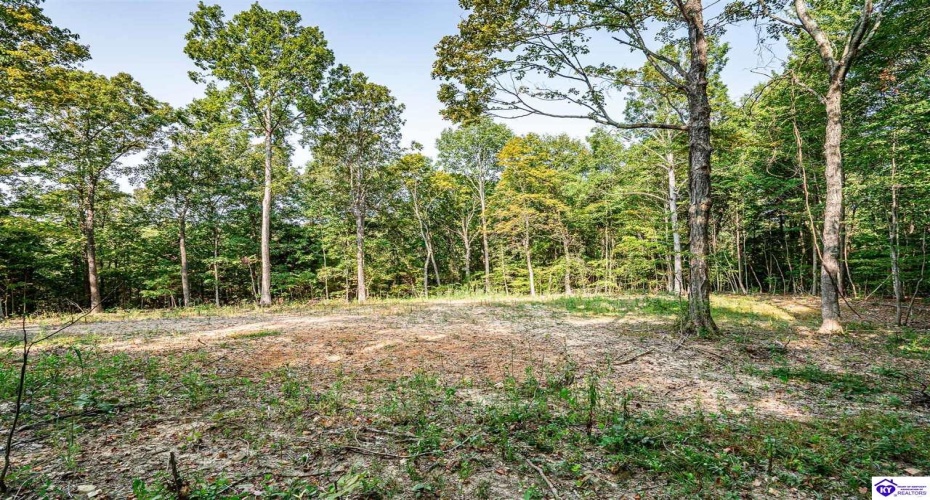 Leitchfield Road, Cecilia, Kentucky 42724, ,For Sale,Leitchfield Road,HK24003393