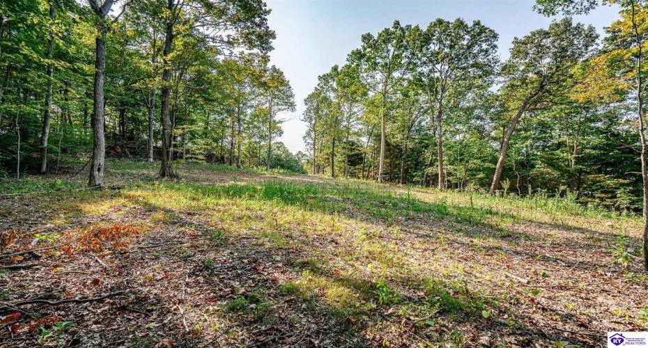 Leitchfield Road, Cecilia, Kentucky 42724, ,For Sale,Leitchfield Road,HK24003393