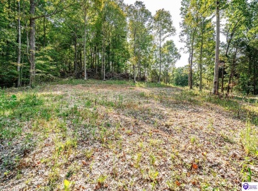 Leitchfield Road, Cecilia, Kentucky 42724, ,For Sale,Leitchfield Road,HK24003393 Leitchfield Road, Cecilia, Kentucky 42724, ,For Sale,Leitchfield Road,HK24003393