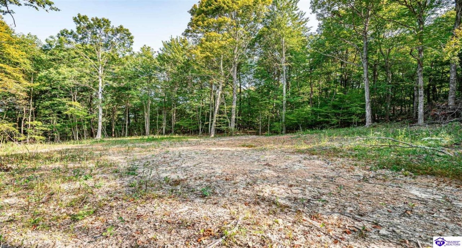 Leitchfield Road, Cecilia, Kentucky 42724, ,For Sale,Leitchfield Road,HK24003393