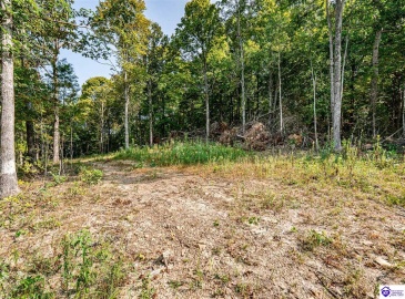 Leitchfield Road, Cecilia, Kentucky 42724, ,For Sale,Leitchfield Road,HK24003393 Leitchfield Road, Cecilia, Kentucky 42724, ,For Sale,Leitchfield Road,HK24003393