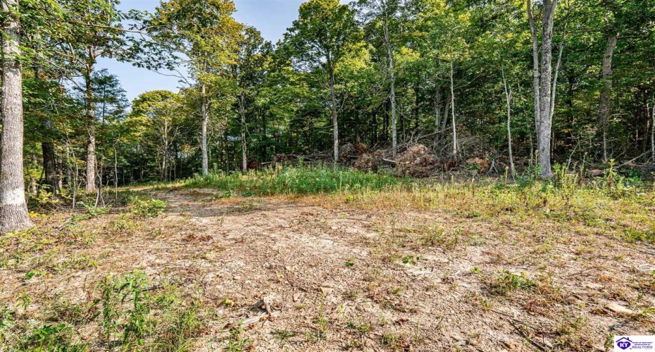 Leitchfield Road, Cecilia, Kentucky 42724, ,For Sale,Leitchfield Road,HK24003393