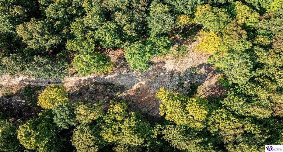 Leitchfield Road, Cecilia, Kentucky 42724, ,For Sale,Leitchfield Road,HK24003393