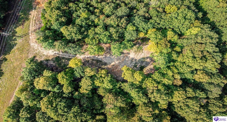 Leitchfield Road, Cecilia, Kentucky 42724, ,For Sale,Leitchfield Road,HK24003393