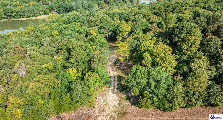 Leitchfield Road, Cecilia, Kentucky 42724, ,For Sale,Leitchfield Road,HK24003393