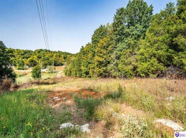 Leitchfield Road, Cecilia, Kentucky 42724, ,For Sale,Leitchfield Road,HK24003393