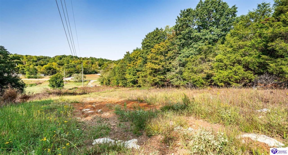 Leitchfield Road, Cecilia, Kentucky 42724, ,For Sale,Leitchfield Road,HK24003393
