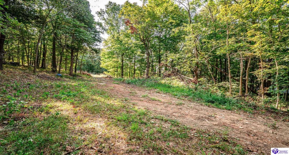 Leitchfield Road, Cecilia, Kentucky 42724, ,For Sale,Leitchfield Road,HK24003393