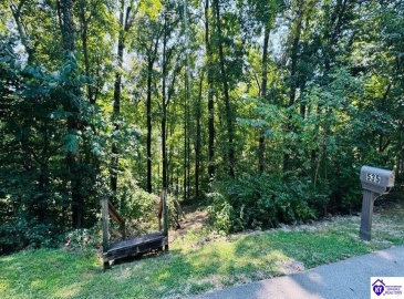 River Bend Road, Leitchfield, Kentucky 42754, ,2 BathroomsBathrooms,For Sale,River Bend Road,HK24003394 River Bend Road, Leitchfield, Kentucky 42754, ,2 BathroomsBathrooms,For Sale,River Bend Road,HK24003394