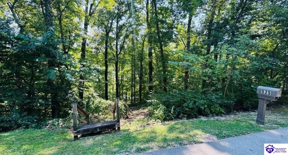 River Bend Road, Leitchfield, Kentucky 42754, ,2 BathroomsBathrooms,For Sale,River Bend Road,HK24003394