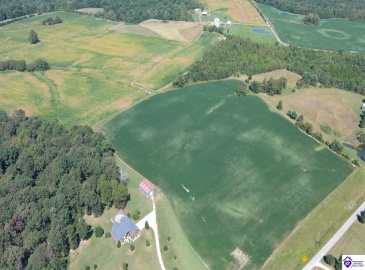 Custer Roberts Hollow Lane, Custer, Kentucky 40115, ,4 BathroomsBathrooms,For Sale,Custer Roberts Hollow Lane,HK24003407 Custer Roberts Hollow Lane, Custer, Kentucky 40115, ,4 BathroomsBathrooms,For Sale,Custer Roberts Hollow Lane,HK24003407