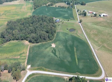 Custer Roberts Hollow Lane, Custer, Kentucky 40115, ,4 BathroomsBathrooms,For Sale,Custer Roberts Hollow Lane,HK24003407