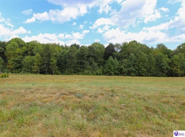 Foxwood Court, Elizabethtown, Kentucky 42701, ,For Sale,Foxwood Court,HK24003403