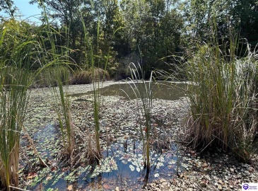 Flat Rock Road, Battletown, Kentucky 40104, ,For Sale,Flat Rock Road,HK24003412