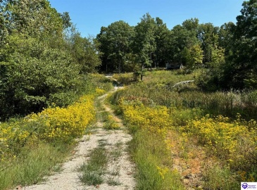 Flat Rock Road, Battletown, Kentucky 40104, ,For Sale,Flat Rock Road,HK24003412