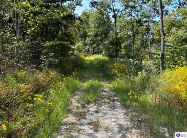 Flat Rock Road, Battletown, Kentucky 40104, ,For Sale,Flat Rock Road,HK24003412