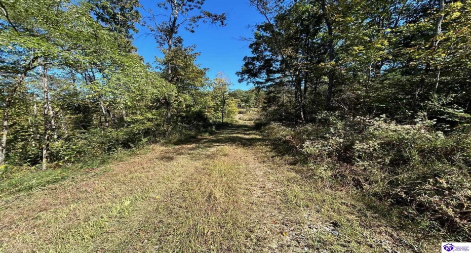 Flat Rock Road, Battletown, Kentucky 40104, ,For Sale,Flat Rock Road,HK24003412