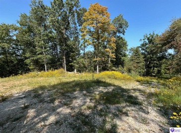 Flat Rock Road, Battletown, Kentucky 40104, ,For Sale,Flat Rock Road,HK24003412