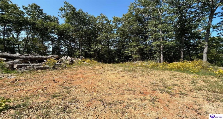 Flat Rock Road, Battletown, Kentucky 40104, ,For Sale,Flat Rock Road,HK24003412