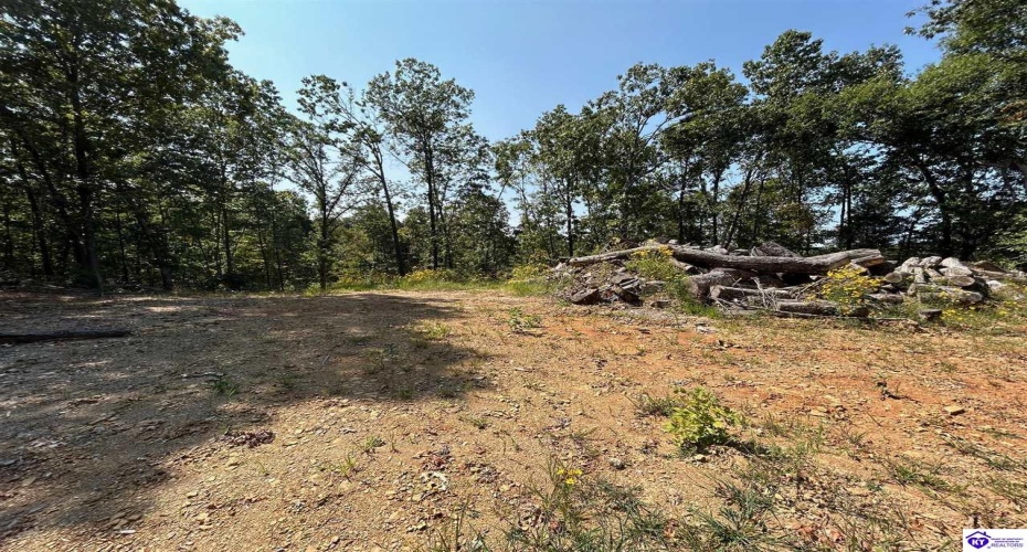 Flat Rock Road, Battletown, Kentucky 40104, ,For Sale,Flat Rock Road,HK24003412