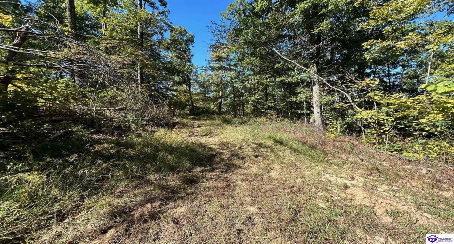 Flat Rock Road, Battletown, Kentucky 40104, ,For Sale,Flat Rock Road,HK24003412