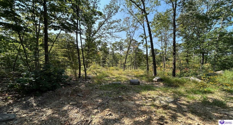 Flat Rock Road, Battletown, Kentucky 40104, ,For Sale,Flat Rock Road,HK24003412