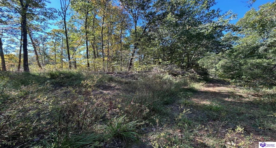 Flat Rock Road, Battletown, Kentucky 40104, ,For Sale,Flat Rock Road,HK24003412