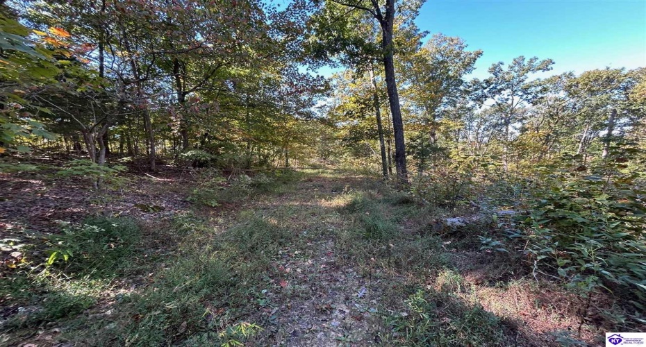 Flat Rock Road, Battletown, Kentucky 40104, ,For Sale,Flat Rock Road,HK24003412