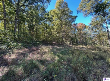 Flat Rock Road, Battletown, Kentucky 40104, ,For Sale,Flat Rock Road,HK24003412