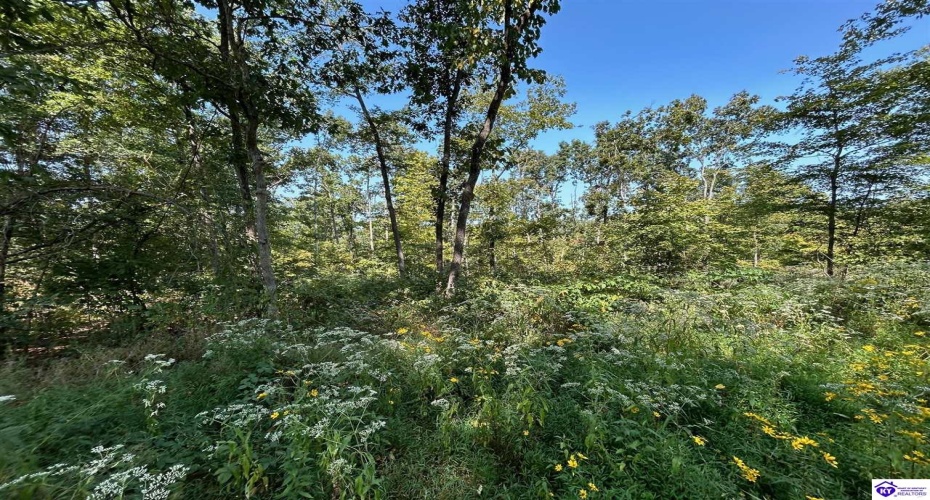 Flat Rock Road, Battletown, Kentucky 40104, ,For Sale,Flat Rock Road,HK24003412