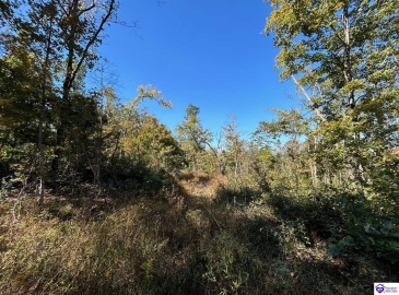 Flat Rock Road, Battletown, Kentucky 40104, ,For Sale,Flat Rock Road,HK24003412