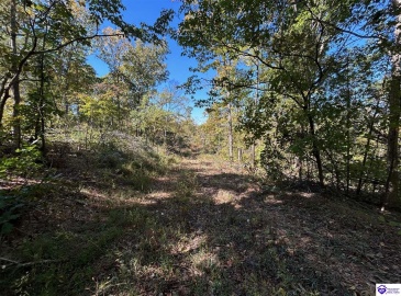 Flat Rock Road, Battletown, Kentucky 40104, ,For Sale,Flat Rock Road,HK24003412