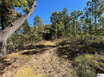 Flat Rock Road, Battletown, Kentucky 40104, ,For Sale,Flat Rock Road,HK24003412