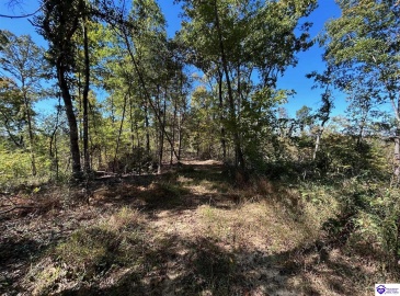 Flat Rock Road, Battletown, Kentucky 40104, ,For Sale,Flat Rock Road,HK24003412