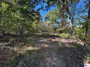 Flat Rock Road, Battletown, Kentucky 40104, ,For Sale,Flat Rock Road,HK24003412