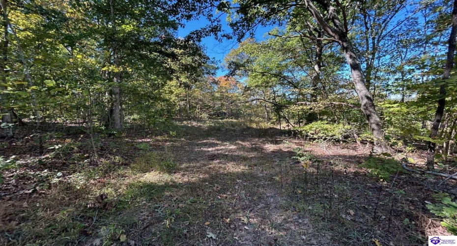 Flat Rock Road, Battletown, Kentucky 40104, ,For Sale,Flat Rock Road,HK24003412