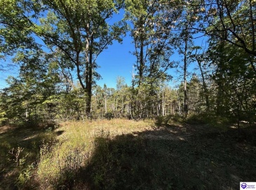 Flat Rock Road, Battletown, Kentucky 40104, ,For Sale,Flat Rock Road,HK24003412