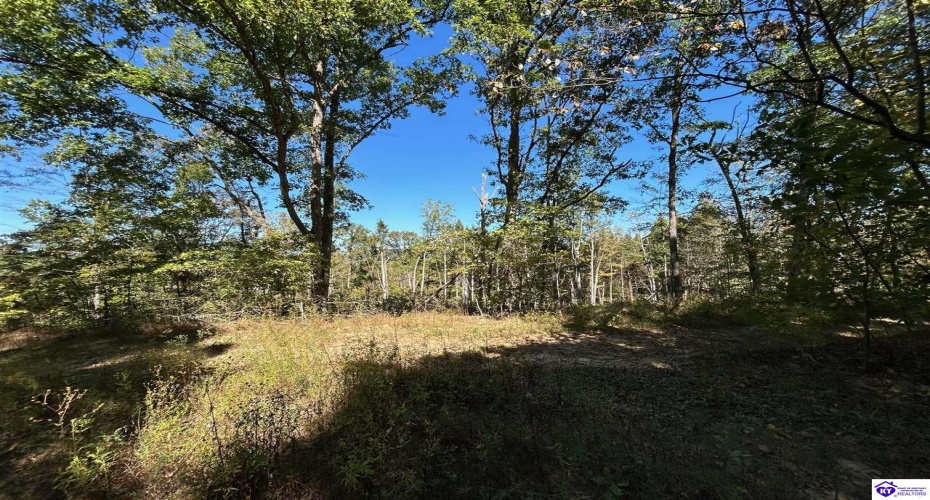 Flat Rock Road, Battletown, Kentucky 40104, ,For Sale,Flat Rock Road,HK24003412