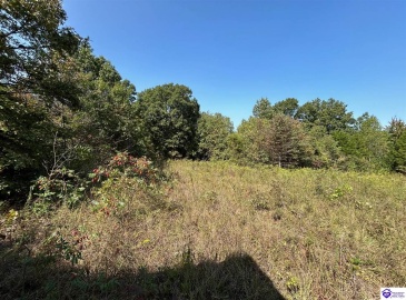 Flat Rock Road, Battletown, Kentucky 40104, ,For Sale,Flat Rock Road,HK24003412