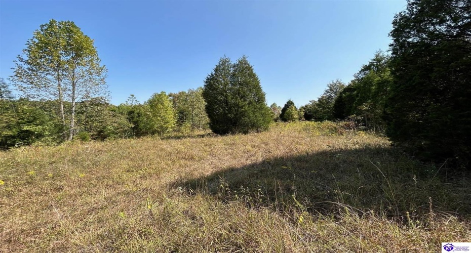 Flat Rock Road, Battletown, Kentucky 40104, ,For Sale,Flat Rock Road,HK24003412