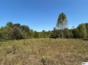 Flat Rock Road, Battletown, Kentucky 40104, ,For Sale,Flat Rock Road,HK24003412