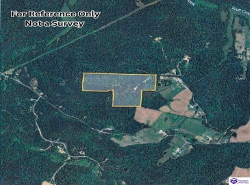 Flat Rock Road, Battletown, Kentucky 40104, ,For Sale,Flat Rock Road,HK24003412