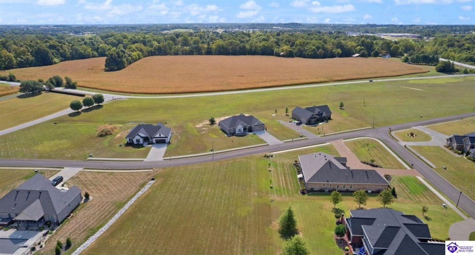 Three Wood Lane, Campbellsville, Kentucky 42718, ,3 BathroomsBathrooms,For Sale,Three Wood Lane,HK24003419