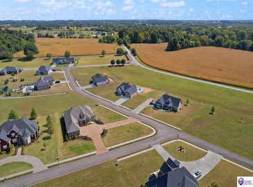 Three Wood Lane, Campbellsville, Kentucky 42718, ,3 BathroomsBathrooms,For Sale,Three Wood Lane,HK24003419