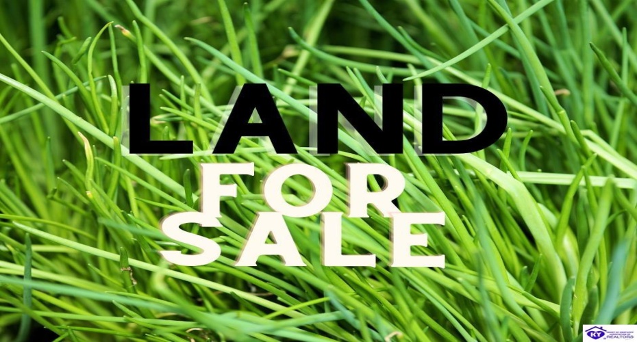 Crutz Lane, Elizabethtown, Kentucky 42701, ,For Sale,Crutz Lane,HK24003426