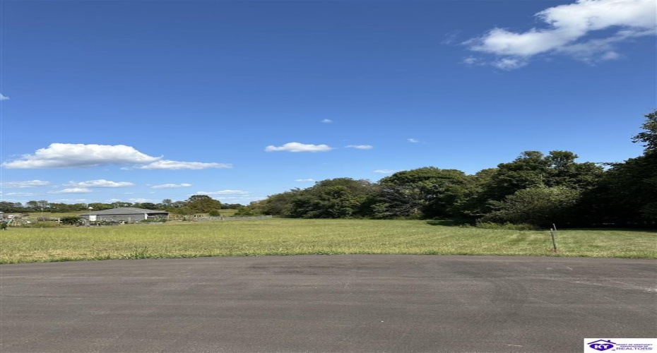 Kallie Court, Hodgenville, Kentucky 42478, ,For Sale,Kallie Court,HK24003437